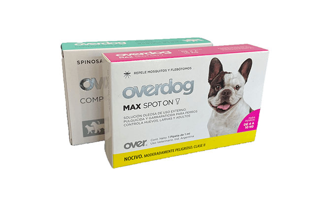 Overdog